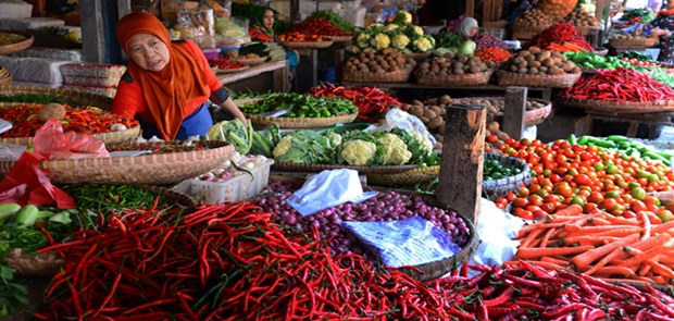 Jokowi Dorong Program Cash For Work Awal Tahun Untuk Tingkatkan Daya Beli