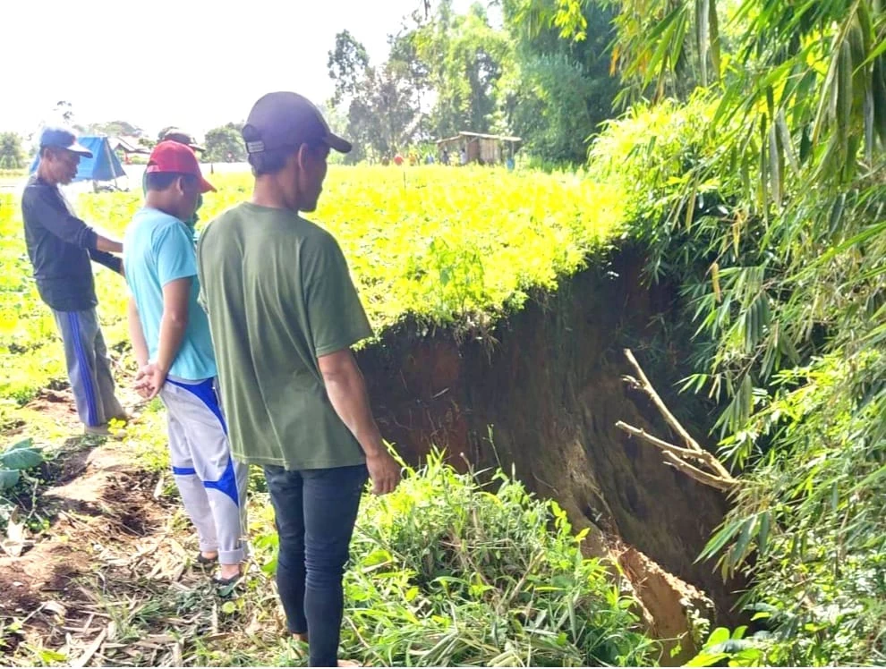 Longsor Mengerus Lokasi Pemakaman Umum ( TPU ) Dan Lahan Persawahan Milik Warga