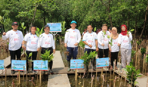 Dukung Penanganan Abrasi, Bank DKI Tanam 5000 Bibit Mangrove di Jakarta Utara