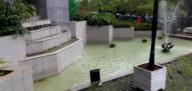 Pemprov dan DPRD DKI Diminta Coret Anggaran Rehab Kolam Ikan