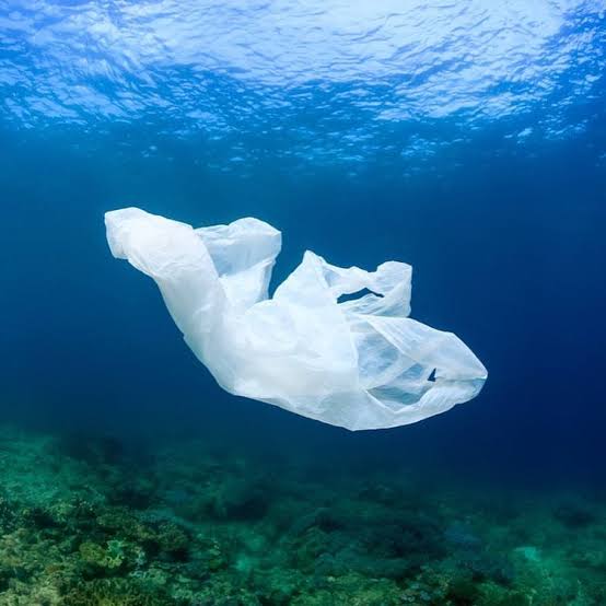 Pemprov DKI Resmi Larang Penggunaan Kantong Plastik