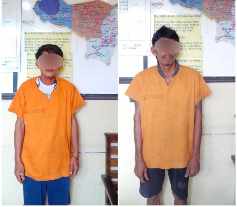 Dua Warga Padang Cahya Di Ciduk Jajaran Polsek Balik Bukit