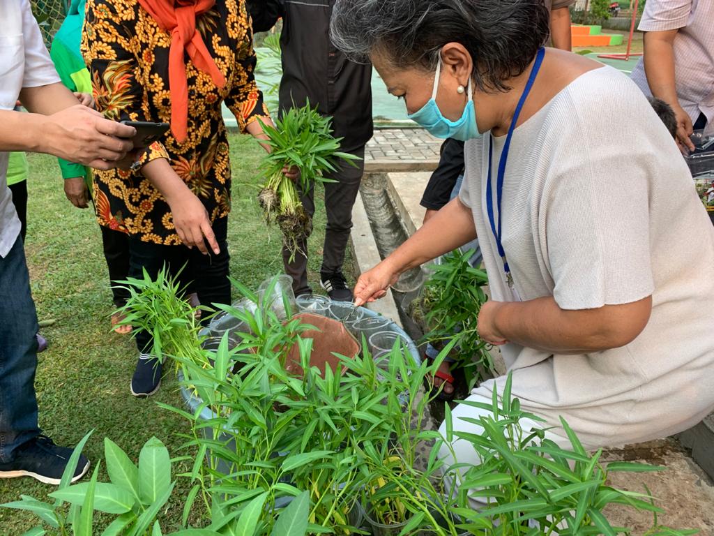Panen Kangkung Dan Lele, warga Pesanggrahan Bertahan Di Tengah Pandemi
