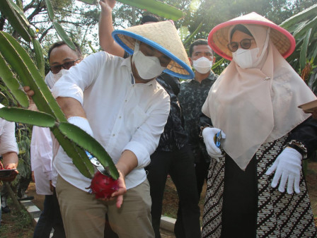 Tinjau Panen Agro Eduwisata dan Pengolahan Ikan, Wagub Ariza Pastikan Stabilitas Pangan Jelang Ramadan