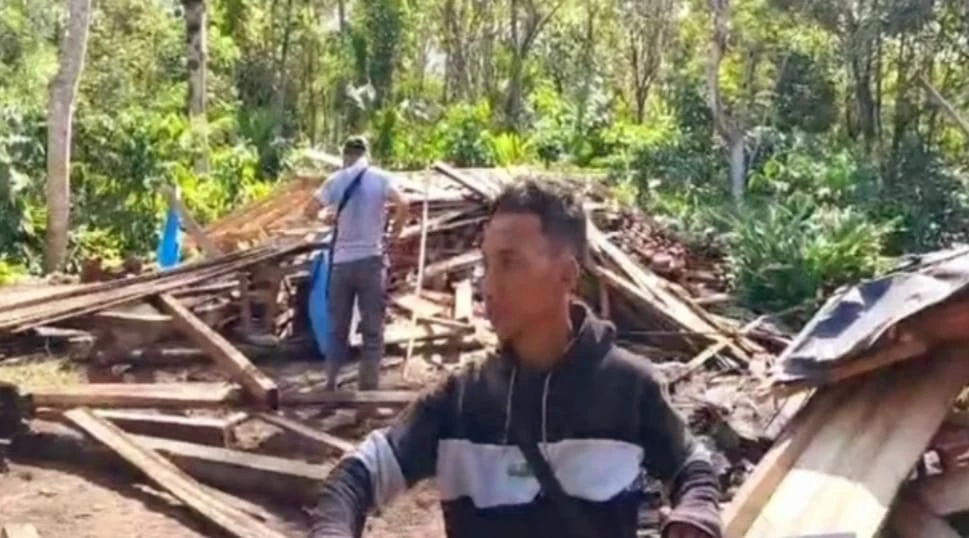 Kembali Kawanan Gajar Liar Merusak Taman Wisata Dan Pemukiman Warga Di BNS