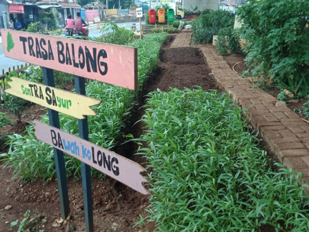 Warga Manfaatkan Kolong Flyover Cipinang ditanami Sayuran