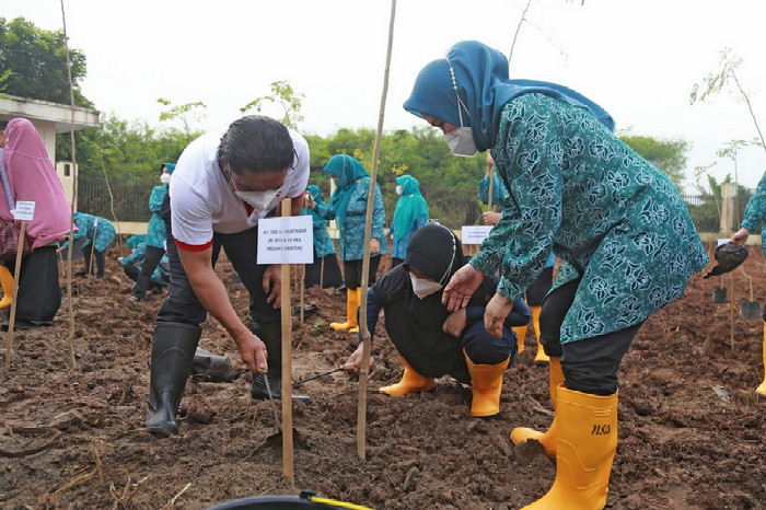 TP PKK Provinsi Banten Gerakan Tanam Kelor dan Tebar Ikan Guna Pemenuhan Gizi Keluarga