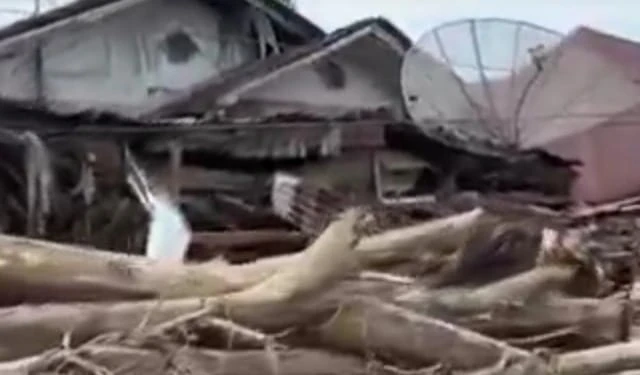 Diungkap Jatamnas, Ini Perusahaan-perusahaan Yang Diduga Jadi Penyebab Banjir Sumatera