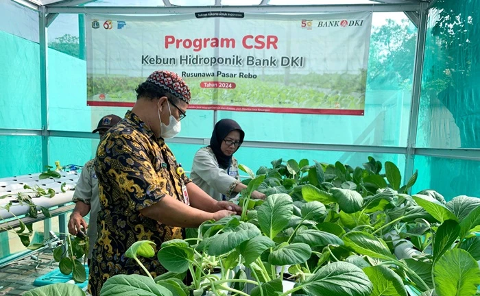 Program JAKONIK Membawa Bank DKI Capai Penghargaan Karunia ESG 2024 IDX Channel