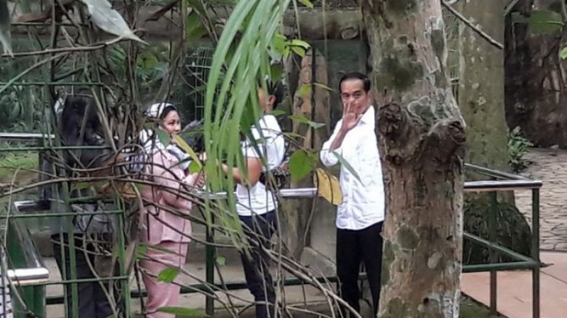 Jagad Medsos Geger #JokowiTerlihatKeranya Trending, Ada Apa?