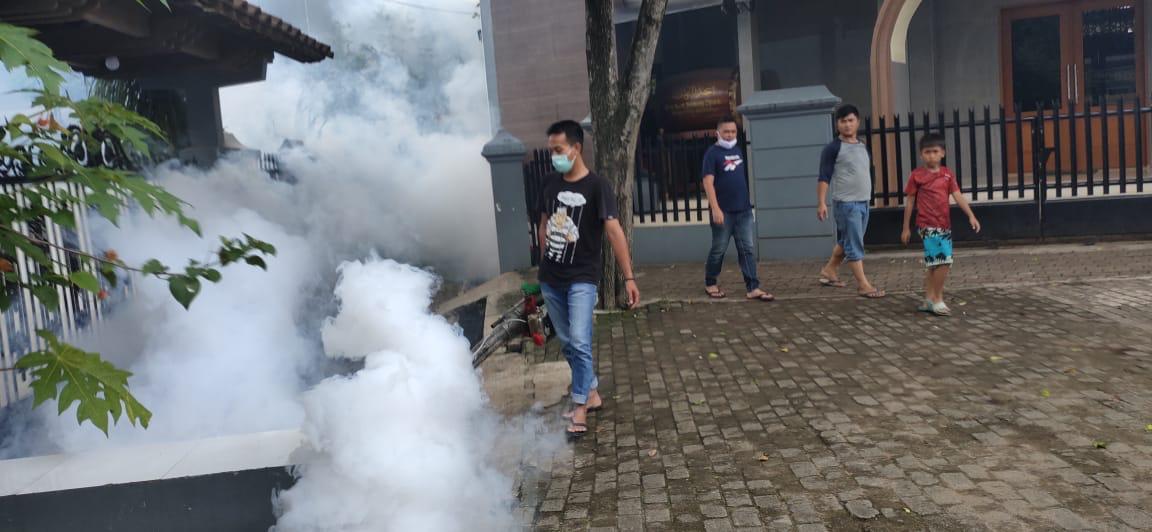 Sama-sama Didera Nyamuk Aedes Aegypti, Pemkot Tangsel Pilih Fogging di Perumahan Mewah