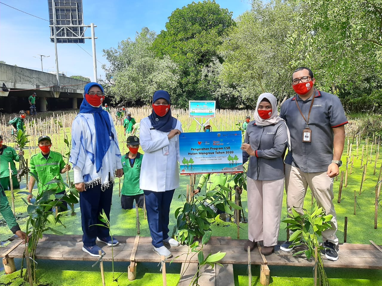 Bank DKI Kembali Tanam 5000 Bibit Mangrove di Jakarta Utara