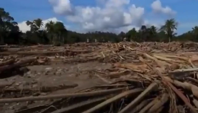 7 Desa Hilang Akibat Banjir Bandang di Aceh dan Sumut, Salah Satunya Merupakan Lumbung Padi