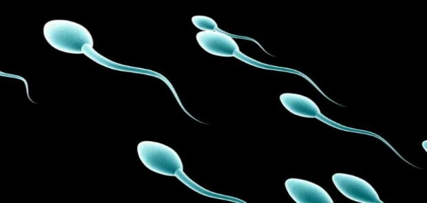 Keren ! Perangkat Ponsel Pintar Bisa Menguji Kualitas Sperma
